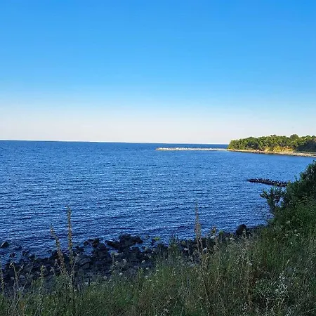 营地 комплекс джулай морнинг *